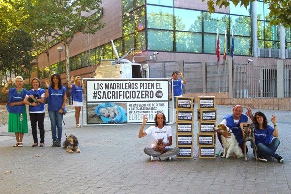 #sacrificiozero #sacrificiozero